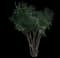 Red Oleander — design image 1