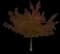 Silver Maple Tree — design image 3