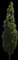 DannaSpire Columnar Elm Tree — design image 2