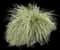 Pink Muhly Grass — design image 4