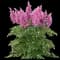 Japanese Astilbe — design image 1