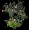Tropical Hibiscus Tree — design image 21