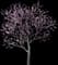 Peach Tree — design image 5