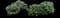 Comfrey — design image 4