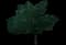 Apple Tree — design image 1
