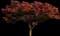 Wireless® Zelkova Tree — design image 2