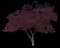 Japanese Maple Tree — design image 18