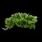 Blue Rug Juniper — design image 4