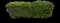 Laurustinus Viburnum — design image 23