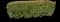 Jasmine Shrub (Trachelospermum) — design image 3