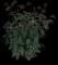 Coneflower — design image 8