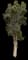 Punk Tree — design image 5