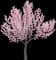 Japanese Flowering Kwanzan Cherry Tree — design image 1