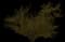 Creosote Bush — design image 2