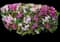 Azalea (Rhododendron) — design image 3