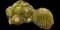 Golden Barrel Cactus — design image 18