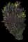 Croton — design image 5