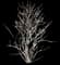 Marge Elderberry — design image 1