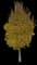 Little Leaf Linden — design image 6