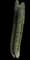 Organ Pipe Cactus — design image 5