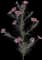 Garden Cosmos — design image 2