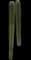 Mexican Fence Post Cactus — design image 3
