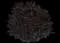 Chinese Fringe Flower - Loropetalum — design image 3