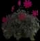 Garden dahlia — design image 2