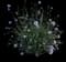 Rose of Sharon — design image 20