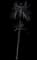 Spineless Yucca — design image 3
