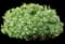 Carol Mackie Daphne — design image 11