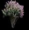 Catawba Crape Myrtle Tree — design image 1