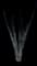 Ocotillo — design image 3