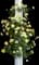 Rosa Golden Showers Climbing — design image 5