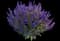 Woodland Sage — design image 23