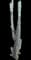 Totem Pole Cactus — design image 4