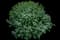 Catnip — design image 6