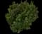 Castle Keep® Blue Holly — design image 5