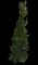 Laurel Tree (Laurus) — design image 9