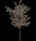 Mt. Fuji Flowering Cherry — design image 5