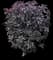 Caricature Plant — design image 2