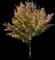Red Maple Tree — design image 9