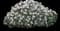 Fragrant Persian Stonecress (Aethionema) — design image 1