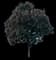 Golden Raintree — design image 3