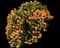 Copper Ice Plant — design image 5