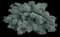 Silver Sage — design image 1