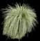 Pink Muhly Grass — design image 6