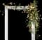Rosa Royal Sunset — design image 4