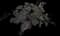 Hairy Alumroot — design image 1