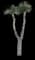 Desert Spoon — design image 28